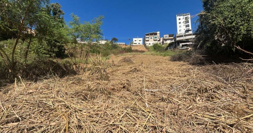 Lote / Terreno - São Pedro
