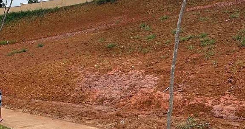 Lote / Terreno - Salvaterra