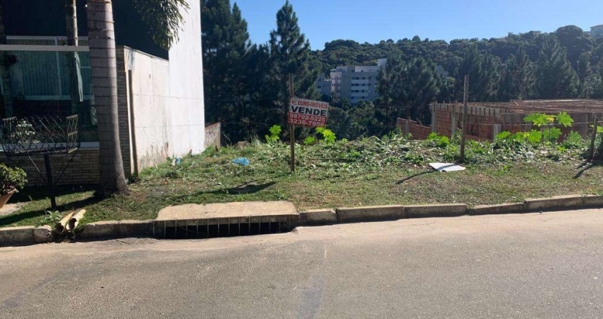 Terreno em condomínio fechado à venda na Rua Wolfgang Amadeus Mozart (S Lucas I), Martelos, Juiz de Fora