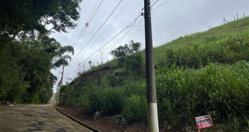 Lote / Terreno - São Pedro