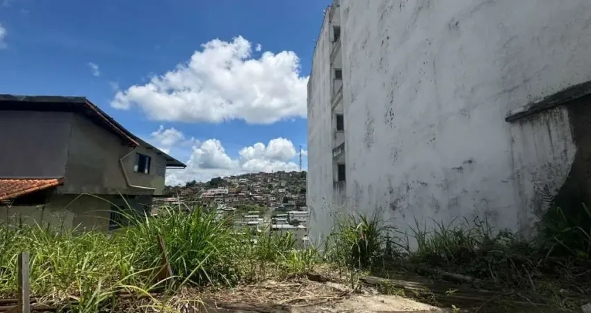 Terreno à venda no Martelos, Juiz de Fora 
