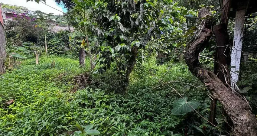 Lote / Terreno - Cidade Jardim