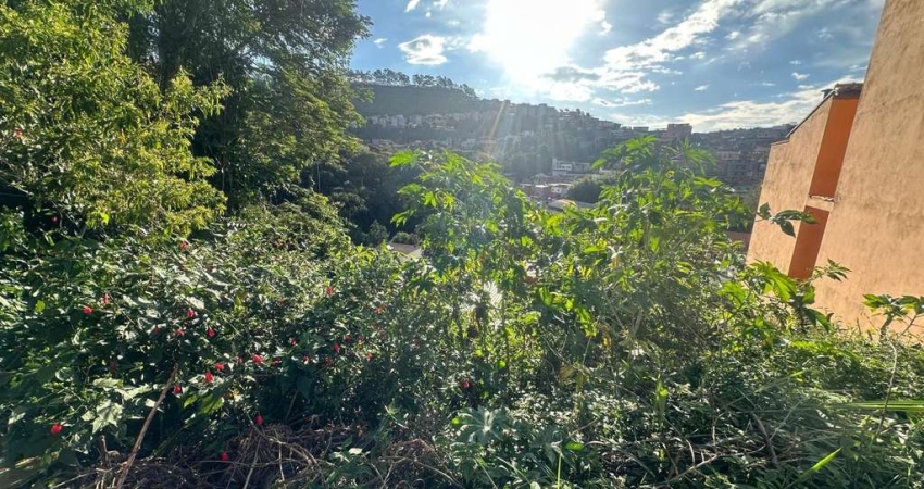 Terreno com 250m², bairro Borboleta, Juiz de Fora, MG.