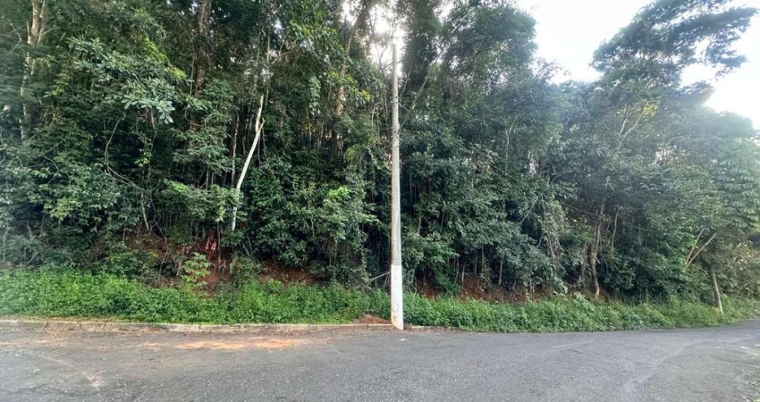 Terreno com 250m², bairro Borboleta, Juiz de Fora, MG.