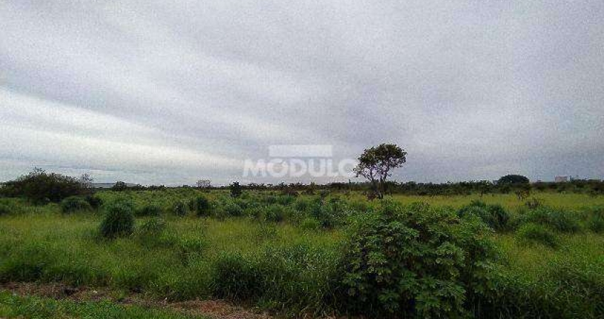 Terreno comercial para alugar na Rodovia BR-365, --, Conjunto Alvorada, Uberlândia