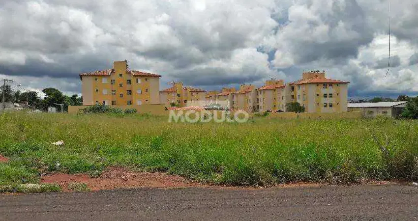 Terreno comercial para alugar na Avenida Pinho, --, Chácaras Tubalina e Quartel, Uberlândia