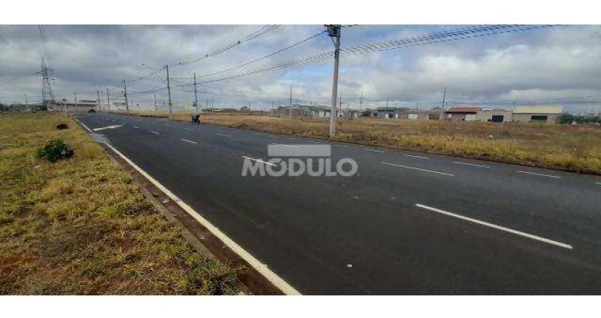 Terreno comercial para alugar na Avenida Aldo Borges Leão, --, Jardim Canaã, Uberlândia