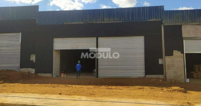 Galpão/Depósito/Barracão à venda, 2 vagas, Shopping Park - Uberlândia/MG