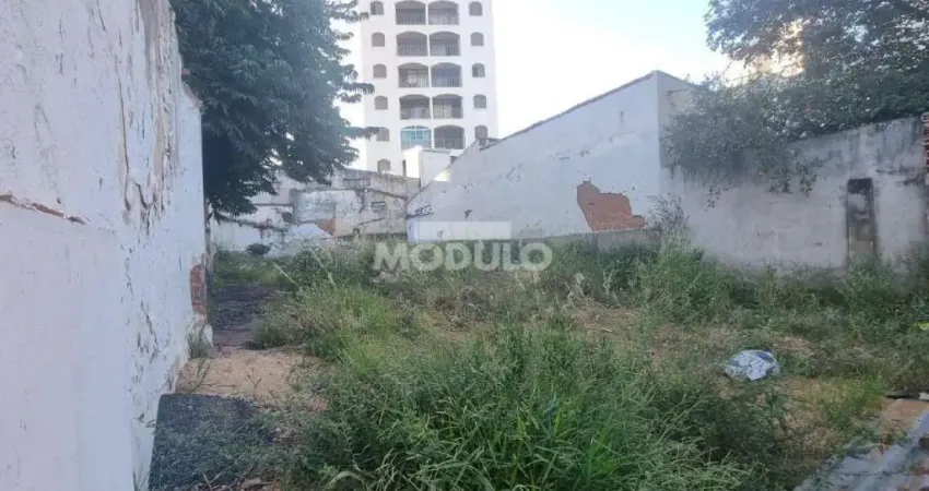 Terreno comercial para alugar na Rua Barão de Camargos, --, Centro, Uberlândia