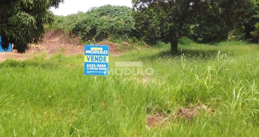 TERRENO à venda, Segismundo Pereira - Uberlândia/MG