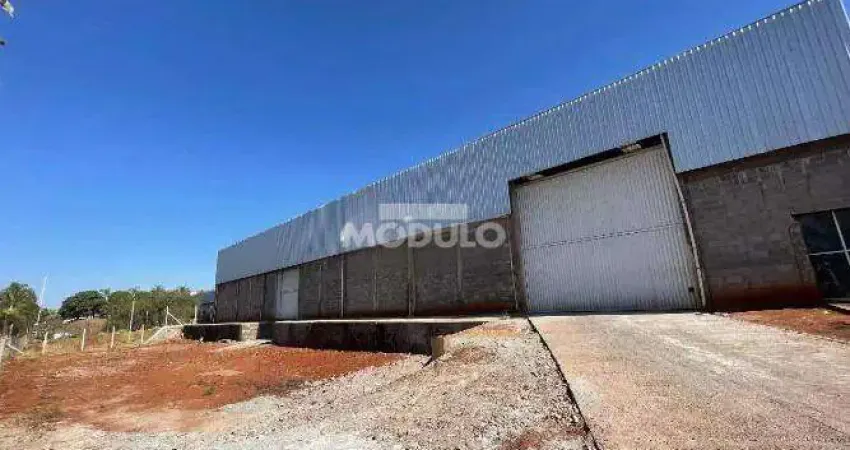 Barracão / Galpão / Depósito para alugar na Rua Angêlo Pizzato, --, Distrito Industrial, Uberlândia