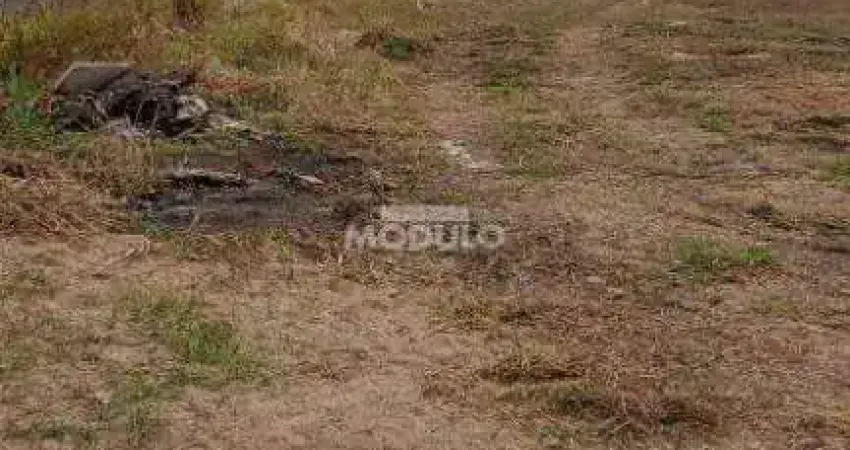 Terreno à venda na Avenida Ubiratan Honório de Castro, --, Santa Mônica, Uberlândia