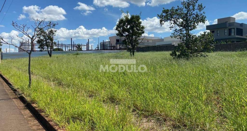 Terreno à venda na Via Marginal, --, Loteamento Centro Empresarial Leste I, Uberlândia