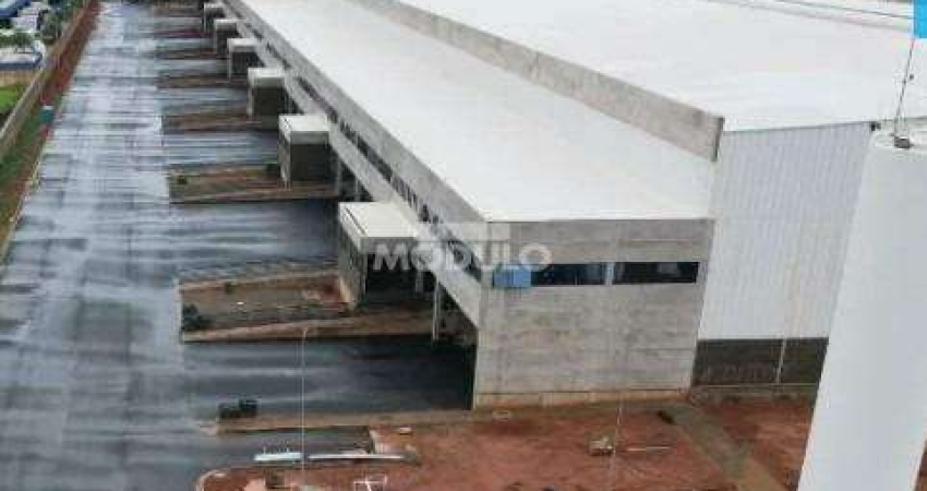 Barracão / Galpão / Depósito para alugar na Rodovia BR-050, --, Novo Mundo, Uberlândia