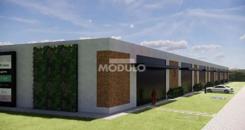 Barracão / Galpão / Depósito para alugar na Rua Ari de Souza Neves, --, Shopping Park, Uberlândia