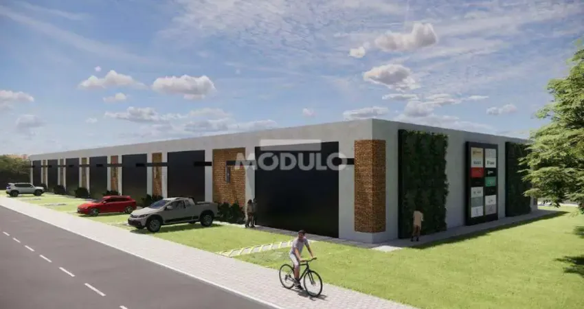 Barracão / Galpão / Depósito para alugar na Rua Ari de Souza Neves, --, Shopping Park, Uberlândia