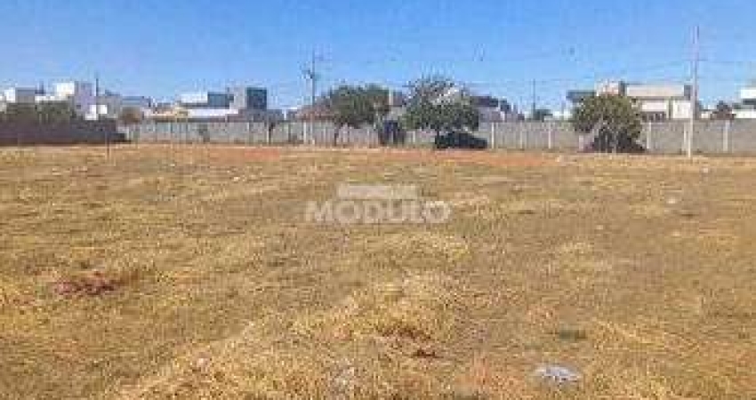 Terreno à venda na Avenida Segismundo Pereira, --, Novo Mundo, Uberlândia