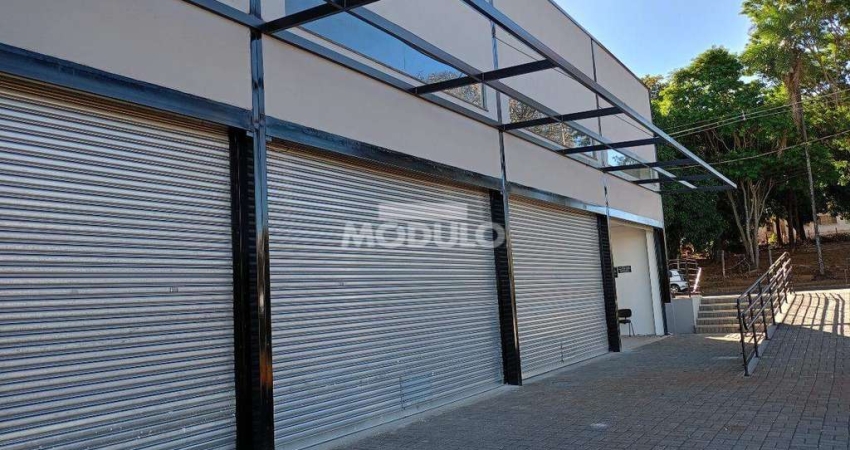 Galpão/Depósito/Barracão à venda, 2 vagas, Vigilato Pereira - Uberlândia/MG
