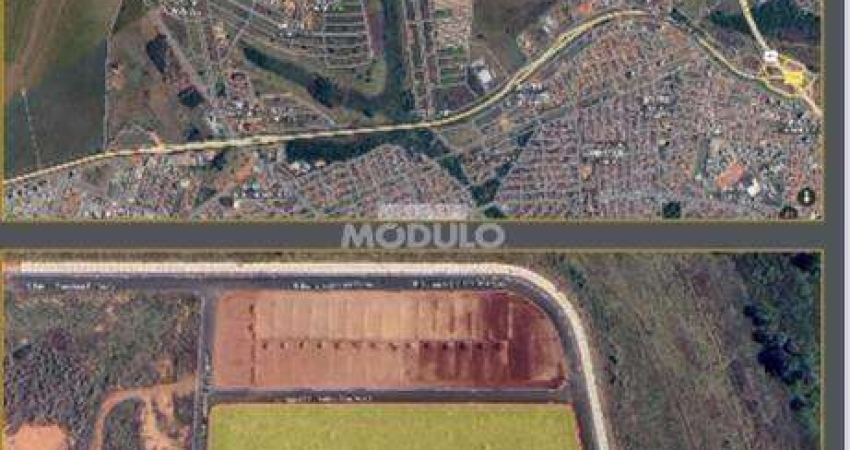 Terreno à venda na Rua Dimas Ferreira de Souza, --, Residencial Fruta do Conde, Uberlândia