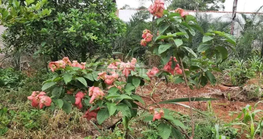 CHÁCARA à venda, MORADA NOVA - Uberlândia/MG