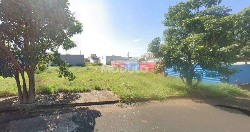 Terreno à venda na Rua Dinarte José Pereira, --, Novo Mundo, Uberlândia