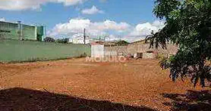 Terreno à venda na Rua Frederico Ozanan, --, Presidente Roosevelt, Uberlândia