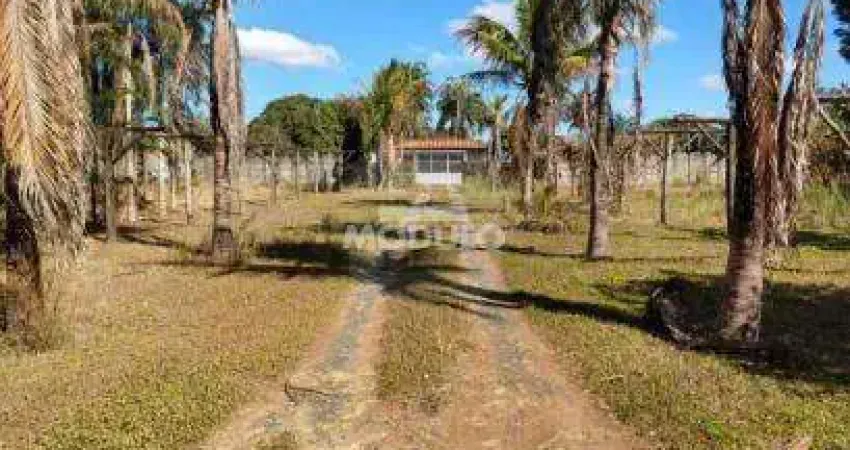 Chácara / sítio à venda na Rua das Paineiras, --, Panorama, Uberlândia