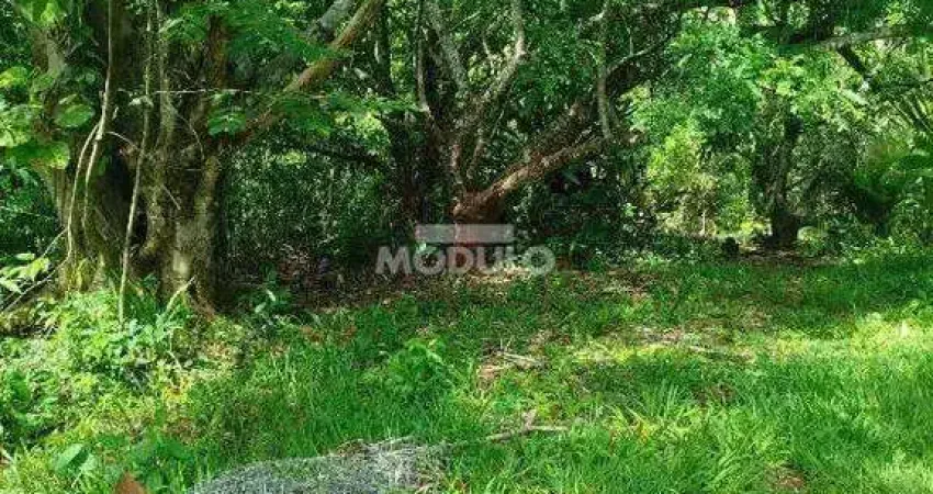 Chácara / sítio à venda na Avenida Rio Acima, --, Shopping Park, Uberlândia