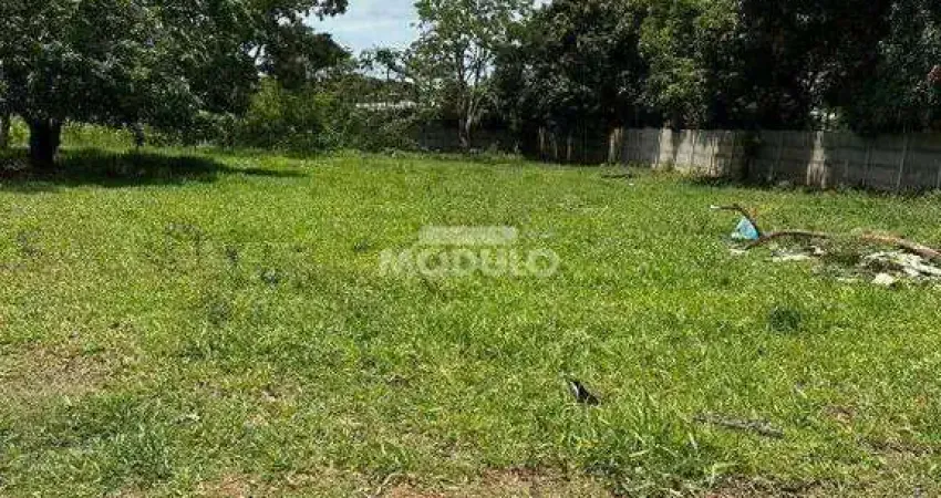 Terreno à venda na Rua Aparicio Ferreira, --, Morada Nova, Uberlândia