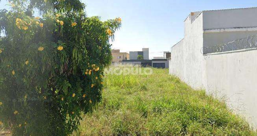 Terreno à venda na Rua Leonel Henrique Vitorino, --, Novo Mundo, Uberlândia