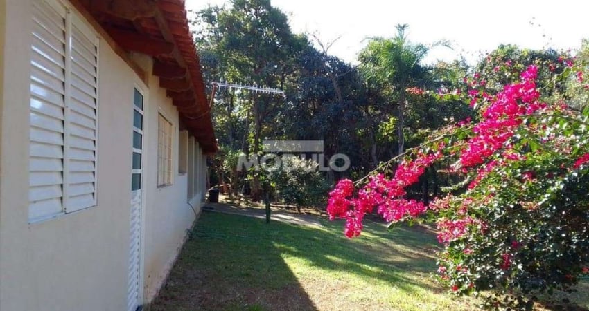 Chácara / sítio à venda na Rodovia BR-497, --, Chácaras Eldorado, Uberlândia