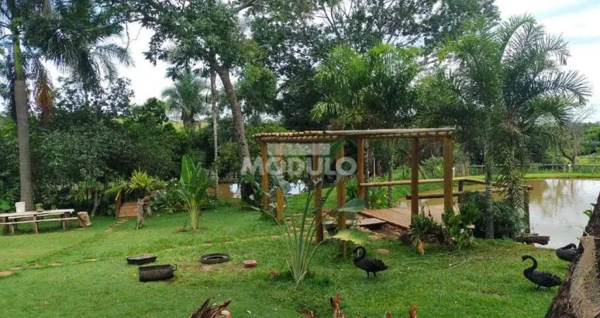 Chácara / sítio com 3 quartos à venda na ROD MG 414 KM 59, --, Área Rural de Araguari, Araguari