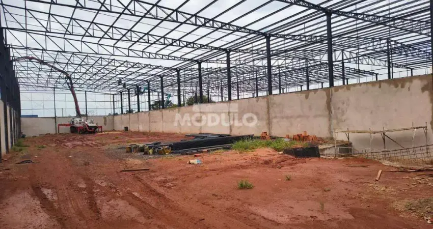 Barracão / Galpão / Depósito para alugar na Rua Will Cargill, --, Distrito Industrial, Uberlândia