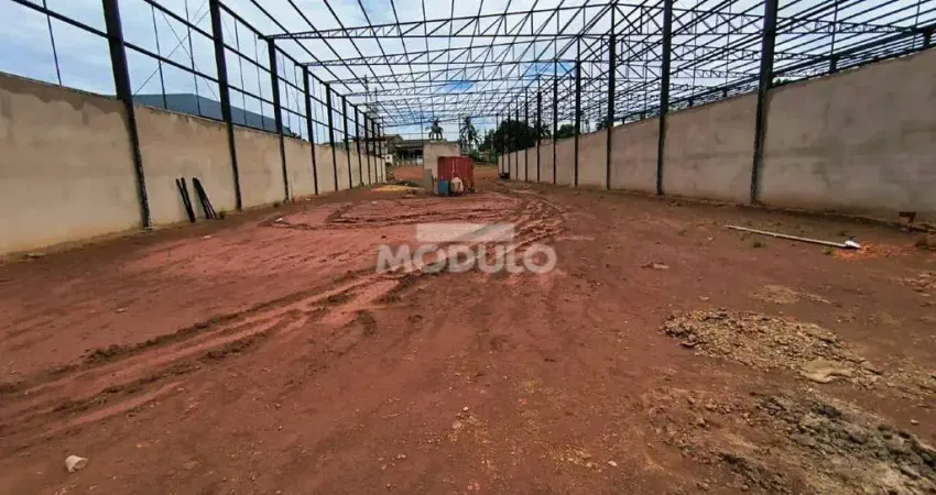 Barracão / Galpão / Depósito para alugar na Rua Will Cargill, --, Distrito Industrial, Uberlândia