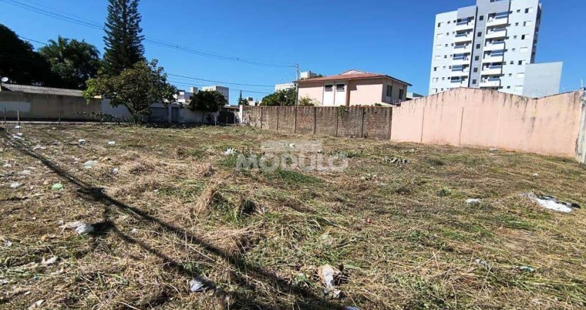 Terreno comercial para alugar na Avenida Ana Godoy De Sousa, --, Santa Mônica, Uberlândia