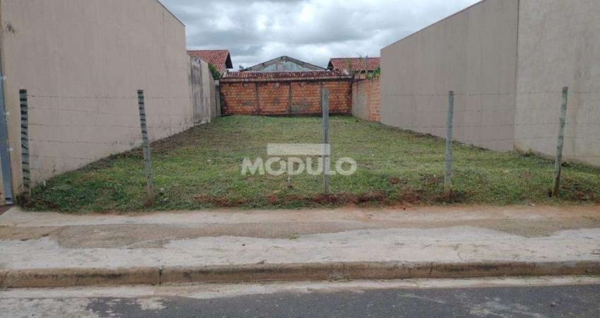 Terreno à venda na Rua Antônio Rodrigues de Oliveira, --, Shopping Park, Uberlândia