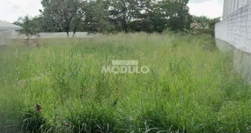 Terreno à venda na Avenida Imbaúbas, --, Jaraguá, Uberlândia