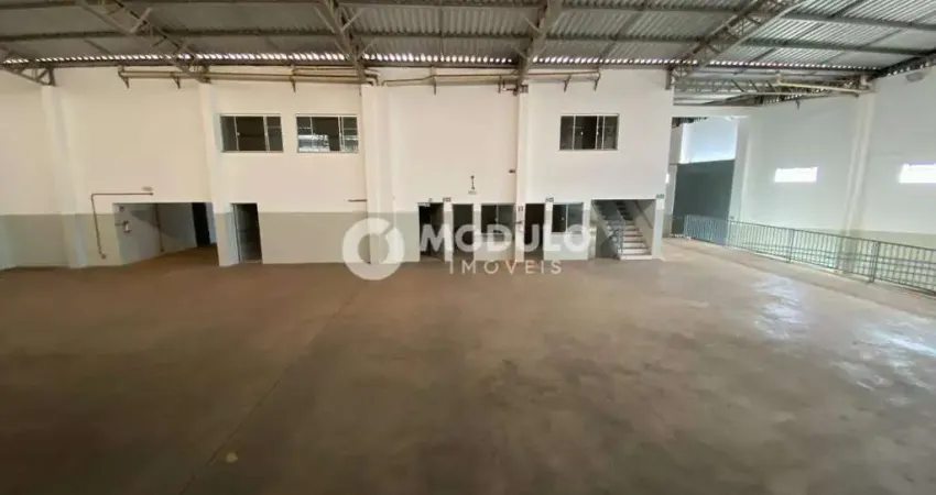 Barracão / Galpão / Depósito para alugar na Avenida Antônio Thomaz Ferreira Rezende, --, Marta Helena, Uberlândia