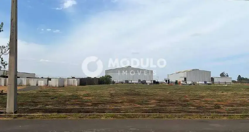 Terreno à venda, loteamento centro empresarial leste - uberlândia/mg