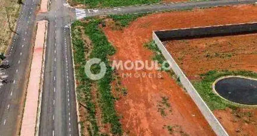 Terreno à venda na Avenida Palmeira Real, --, Novo Mundo, Uberlândia
