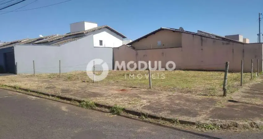 Terreno à venda na Rua José Ferreira Goulart, --, Alto Umuarama, Uberlândia