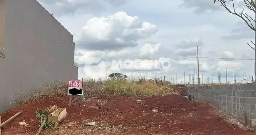 Terreno à venda, loteamento portal do vale ii - uberlândia/mg