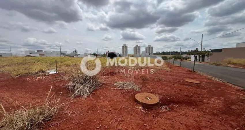 Terreno à venda, loteamento portal do vale ii - uberlândia/mg