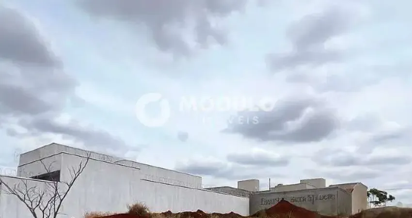 Terreno à venda, loteamento portal do vale ii - uberlândia/mg