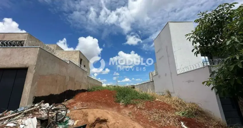 Terreno à venda na Maria Tavares da Silva, --, Loteamento Portal do Vale II, Uberlândia