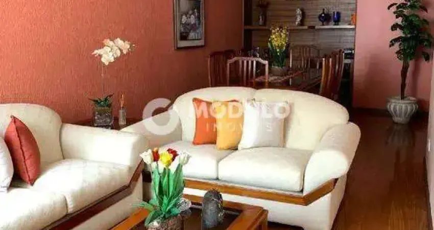 Apartamento à venda, 1 suíte, 2 vagas, fundinho - uberlândia/mg