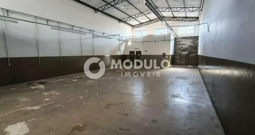 Barracão / Galpão / Depósito para alugar na Rua Padre Pio, --, Martins, Uberlândia