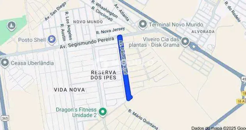 Terreno à venda na Avenida Palmeira Real, --, Novo Mundo, Uberlândia