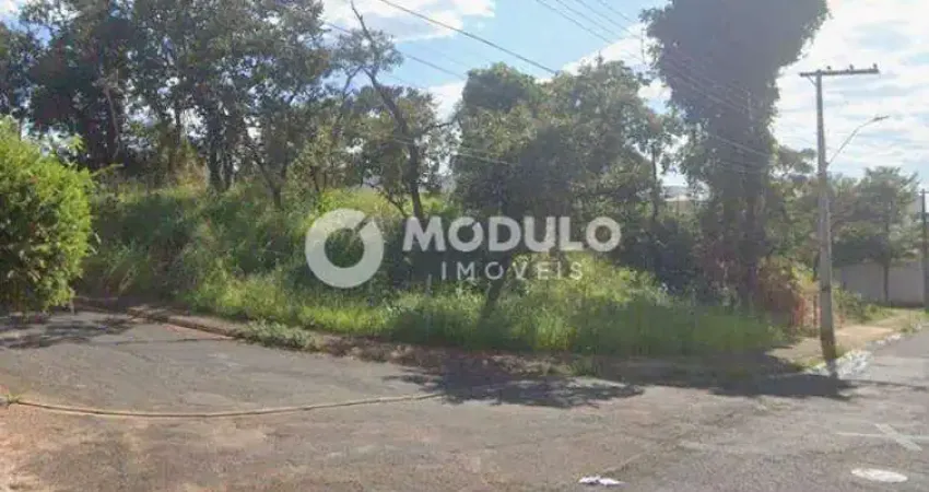 Terreno à venda na Alameda das Cartas Chilenas, --, City Uberlândia, Uberlândia