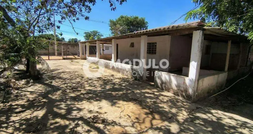 Chácara / sítio com 3 quartos para alugar na Rua Aparicio Ferreira, --, Morada Nova, Uberlândia